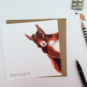 Watercolour Red Squirrel Card - Clare Baird