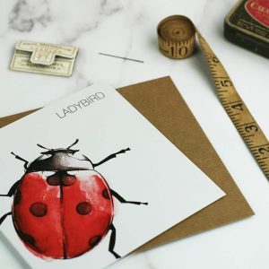 Ladybird Card - Clare Baird
