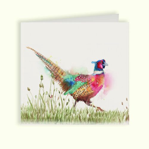 Pheasant in Grass Greetings Card - Country Companions by Kate of Kensington