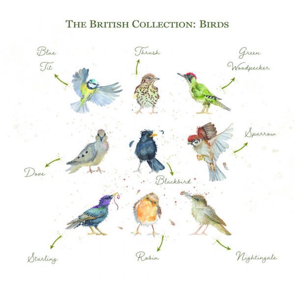 Kate of Kensington British Collection Birds Large - Breeds