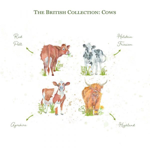 Kate of Kensington British Collection Cows Medium - Breeds