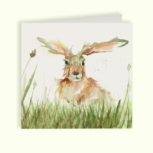 Solo Hare Greetings Card - Kensington Collection by Kate of Kensington